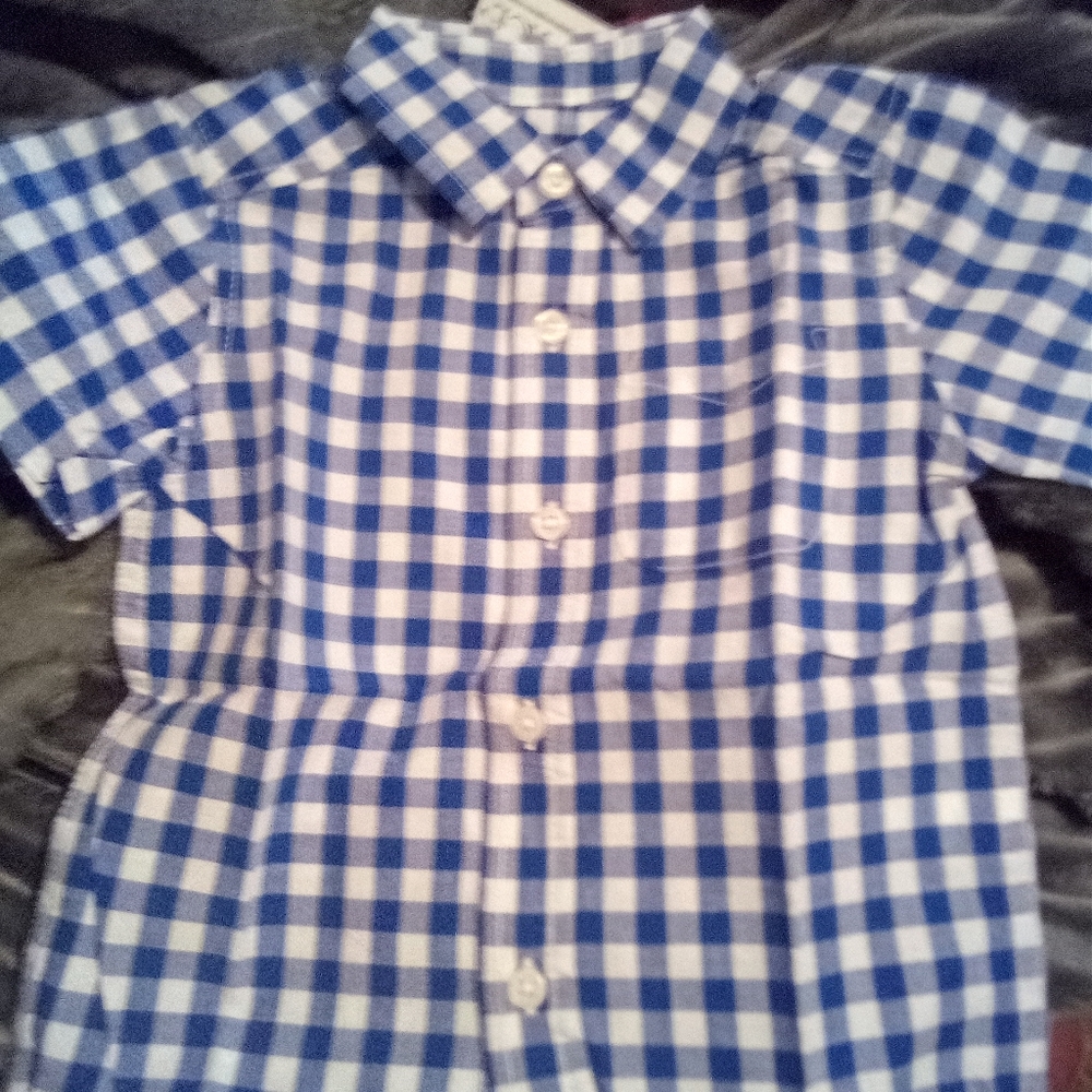 The Children's Place Blue and White Checkered Button Down Shirt